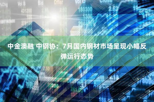 中金澳融 中钢协：7月国内钢材市场呈现小幅反弹运行态势