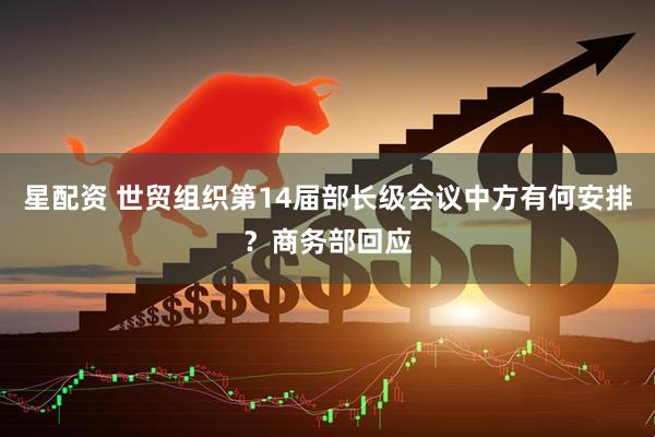 星配资 世贸组织第14届部长级会议中方有何安排？商务部回应